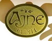 Logo de Ajne