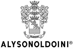 Logo de ALYSONOLDOINI