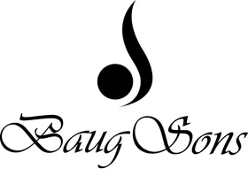 Logo de Baug Sons