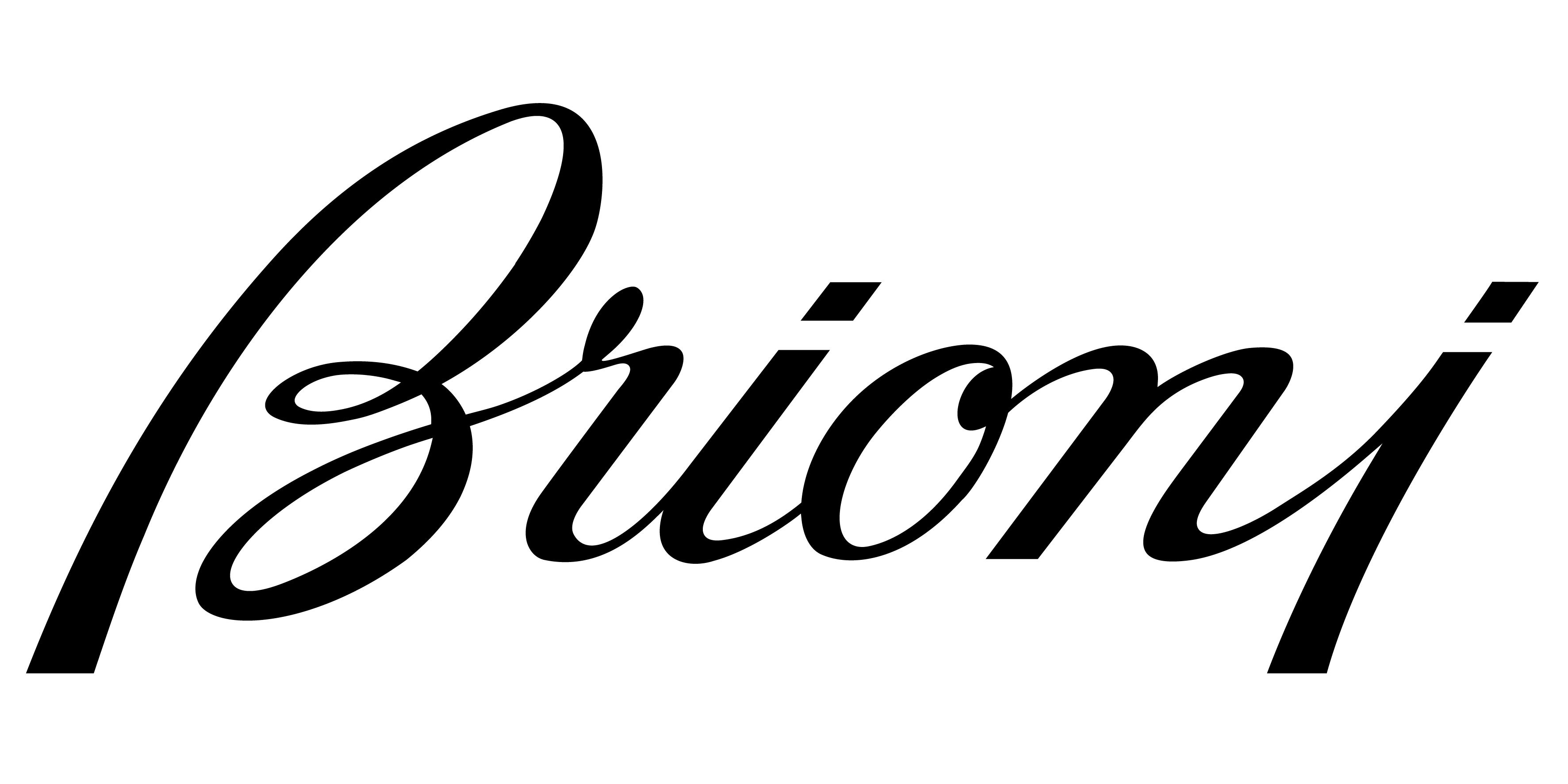 Logo de Brioni