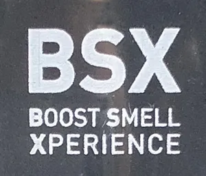 Imagen de BSX