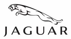 Imagen de Jaguar