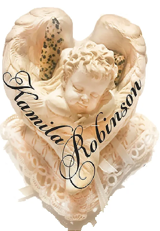 Logo de Kamila Robinson