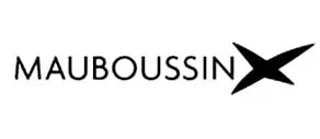 Imagen de Mauboussin