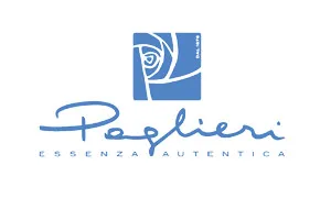 Logo de Paglieri