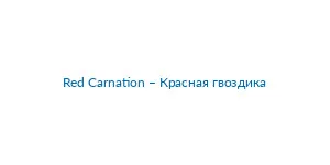 Imagen de Red Carnation – Красная гвоздика