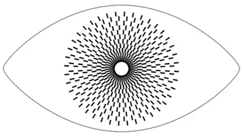 Imagen de The Eyes Are Always There