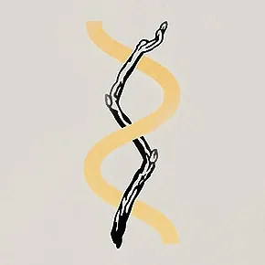 Imagen de Tree Of Life