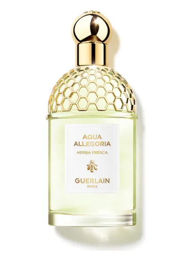 Imagen de Aqua Allegoria Herba Fresca