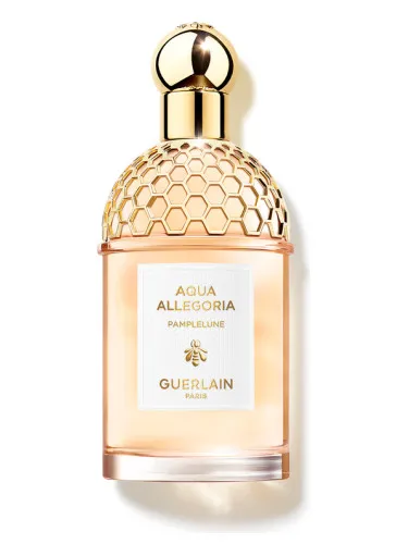 Imagen de Aqua Allegoria Pamplelune