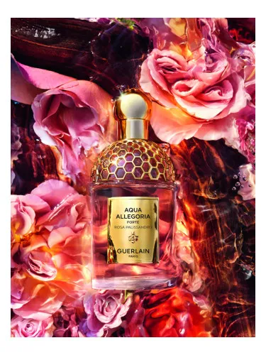 Imagen de Aqua Allegoria Forte Rosa Palissandro