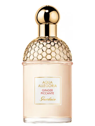 Imagen de Aqua Allegoria Ginger Piccante
