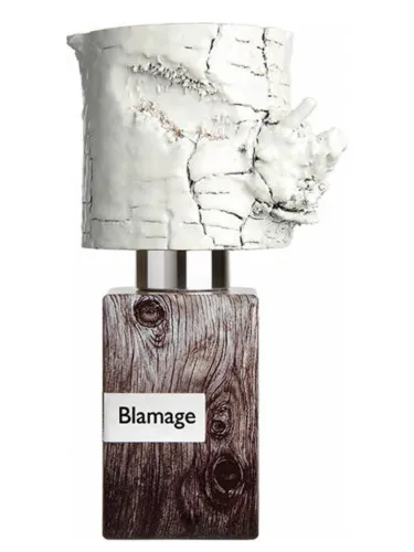 Imagen de Blamage