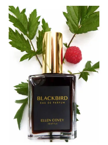 Imagen de Blackbird