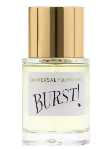 Imagen de Burst!
