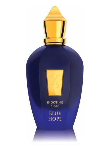 Imagen de Blue Hope