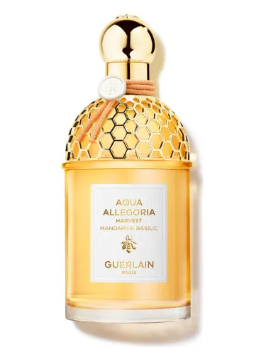Colección Aqua Allegoria Harvest