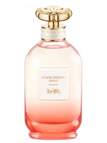 Imagen de Coach Dreams Sunset