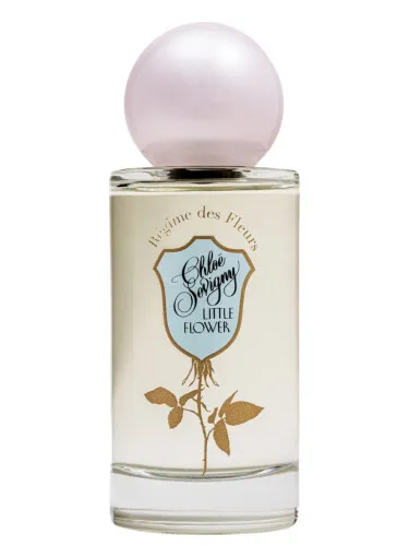 Imagen de Chloë Sevigny Little Flower