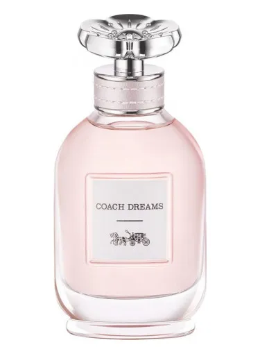 Imagen de Coach Dreams