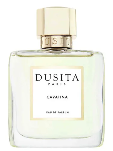 Imagen de Cavatina