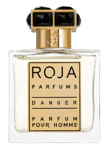 Imagen de Danger Pour Homme
