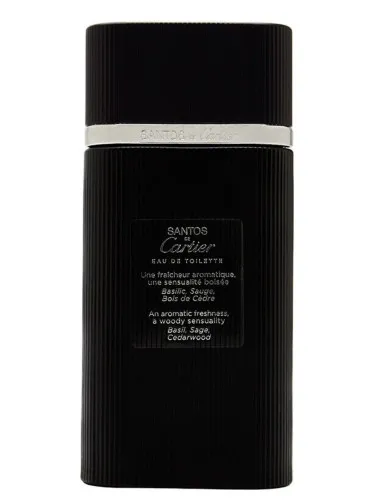 Imagen de Santos de Cartier