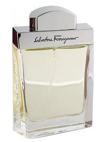 Imagen de Salvatore Ferragamo Pour Homme