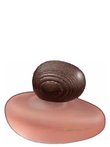 Imagen de J'ai Fait Un Rêve Clair