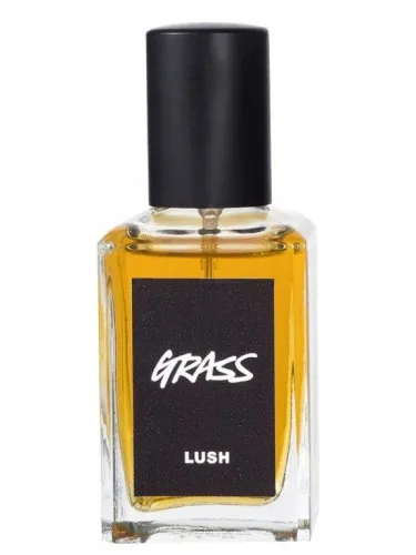 Imagen de Grass