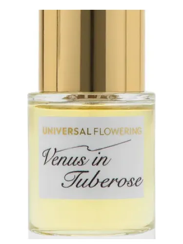 Imagen de Venus in Tuberose