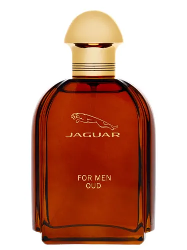 Imagen de Jaguar For Men Oud