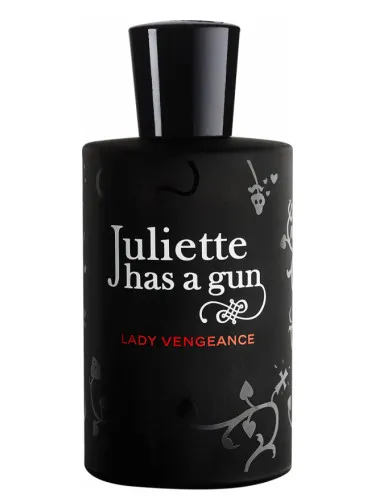 Imagen de Lady Vengeance