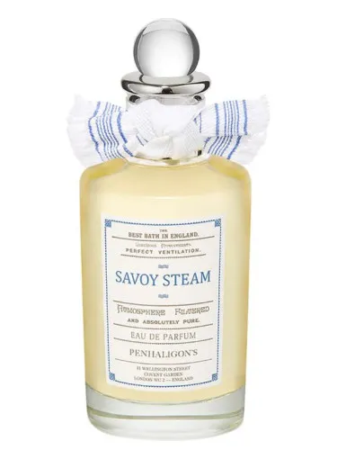 Imagen de Savoy Steam