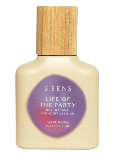 Imagen de Life Of The Party