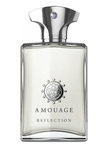 Imagen de Reflection Man