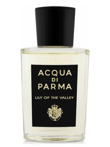 Imagen de Lily of the Valley