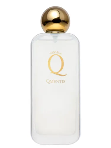 Imagen de Qmentis