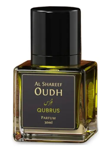 Imagen de Qubrus