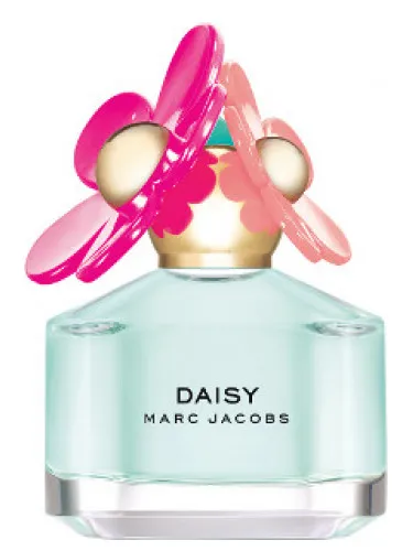Imagen de Daisy Delight