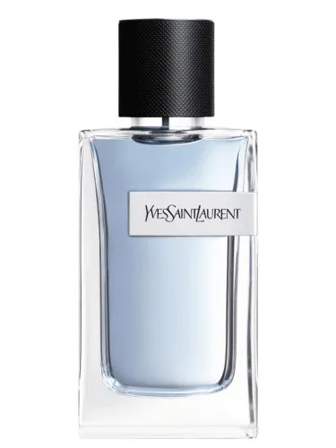 Imagen de Yves Saint Laurent Y
