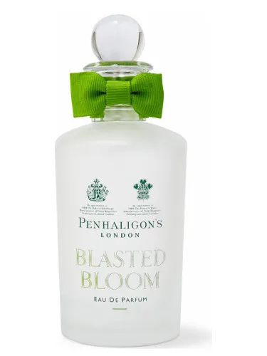 Imagen de Blasted Bloom