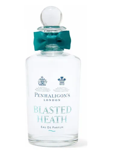 Imagen de Blasted Heath