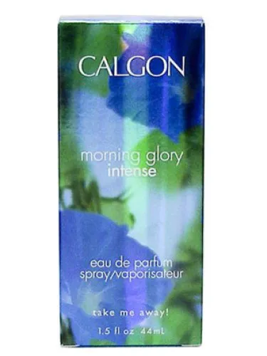 Imagen de Morning Glory
