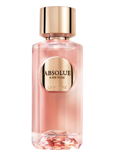 Imagen de Absolue 6AM Rose
