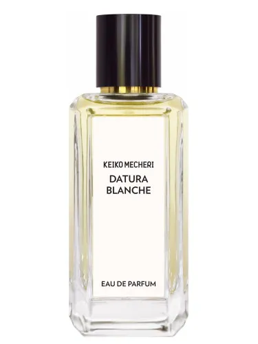 Imagen de Datura Blanche