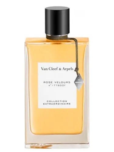 Imagen de Rose Velours