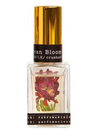 Imagen de Sonoran Bloom