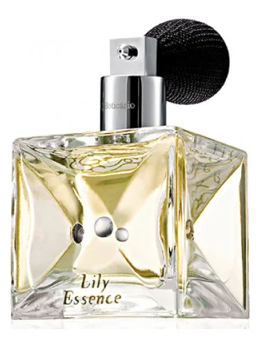 Imagen de Lily Essence