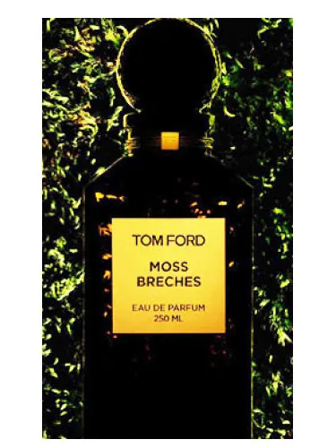 Imagen de Moss Breches